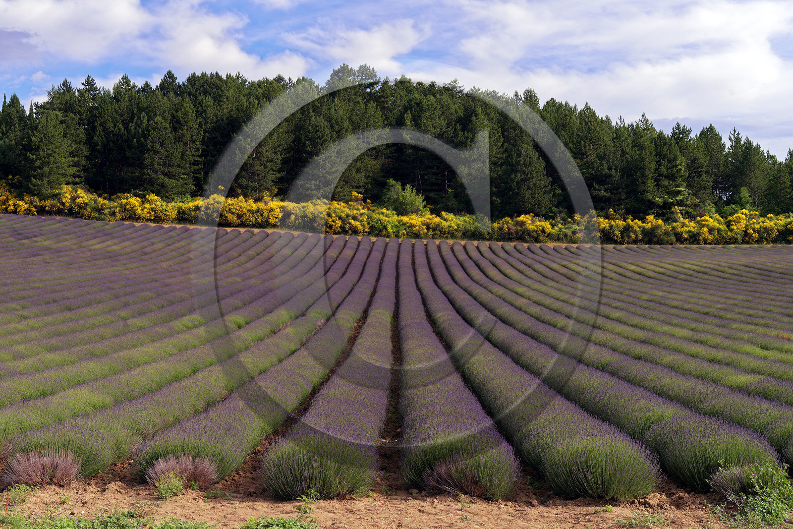 France, Mont Ventoux