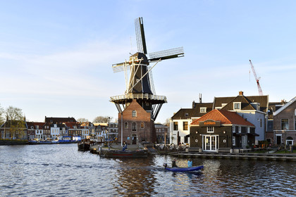 Hollande, Haarlem