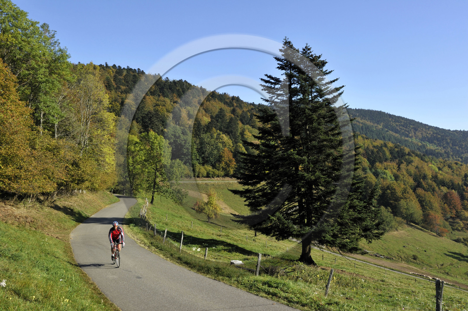France, Grand Ballon