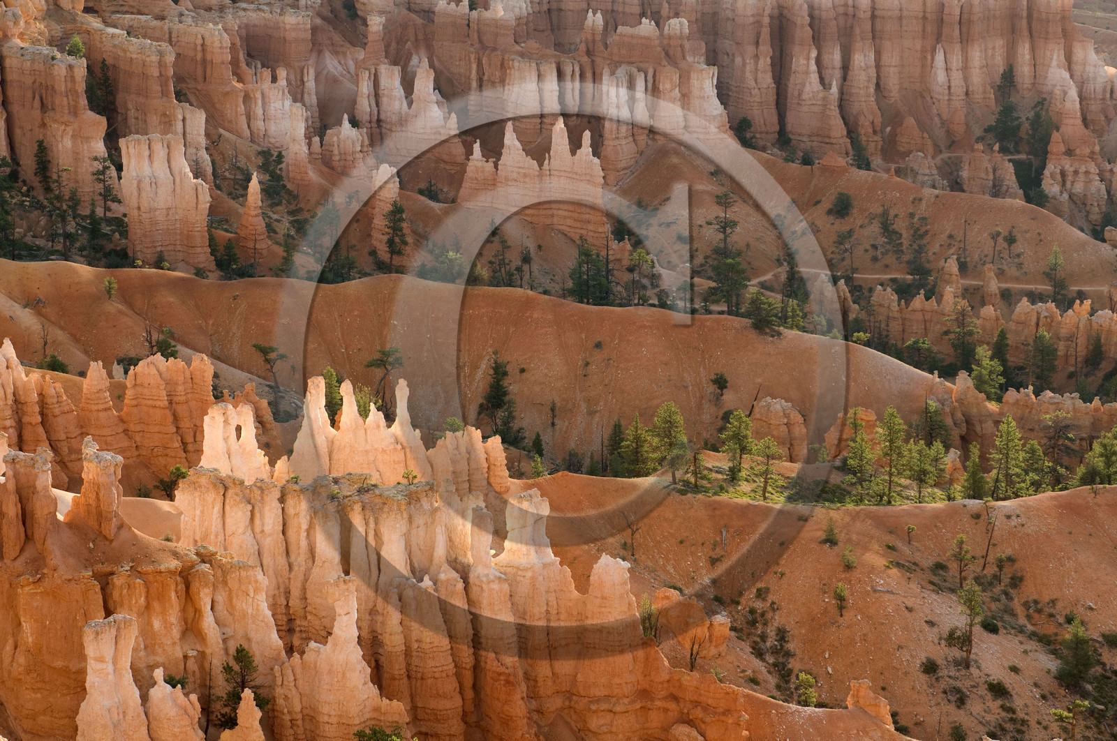 USA, BRYCE CANYON