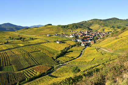 France, Niedermorschwihr