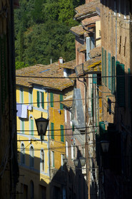 Sienne, Toscane, Italie