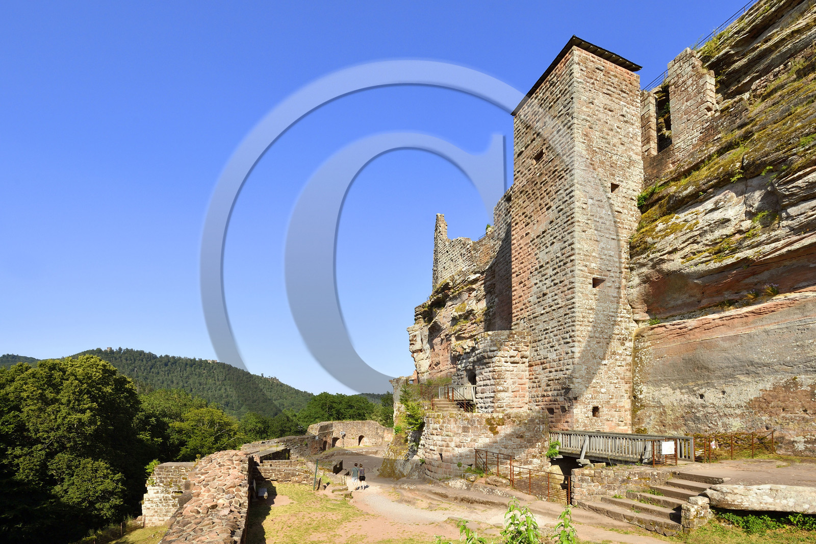 France, Fleckenstein