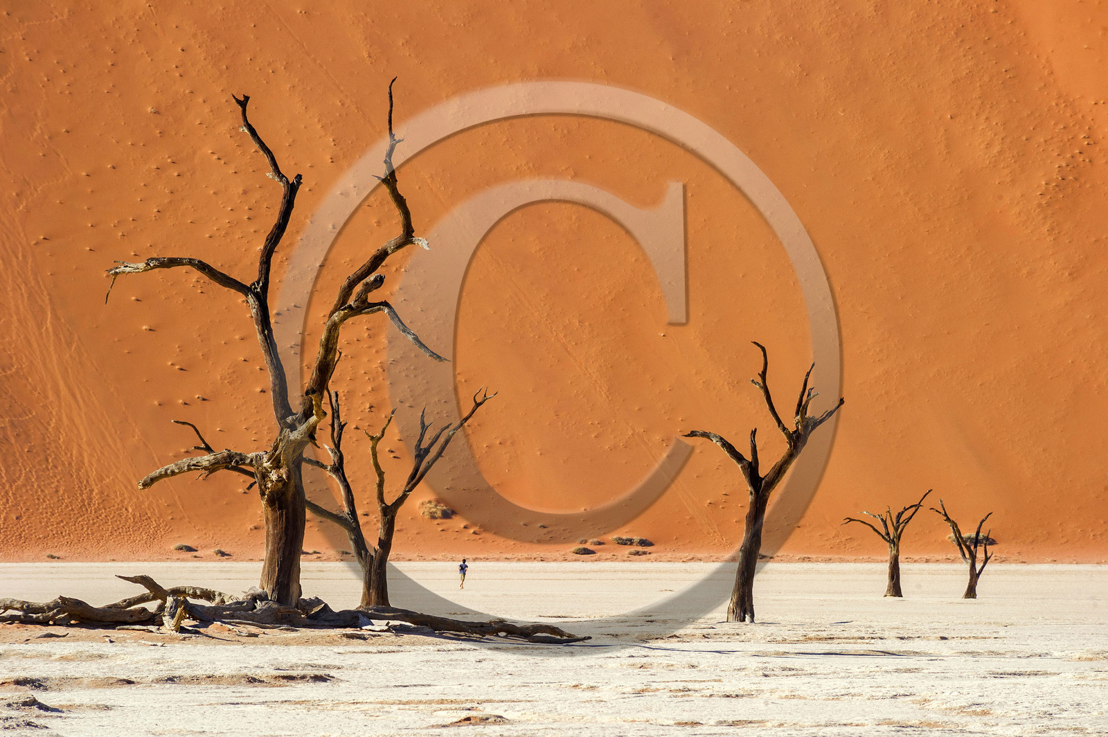 Namibie, Sossusvlei