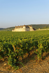 France, Vougeot