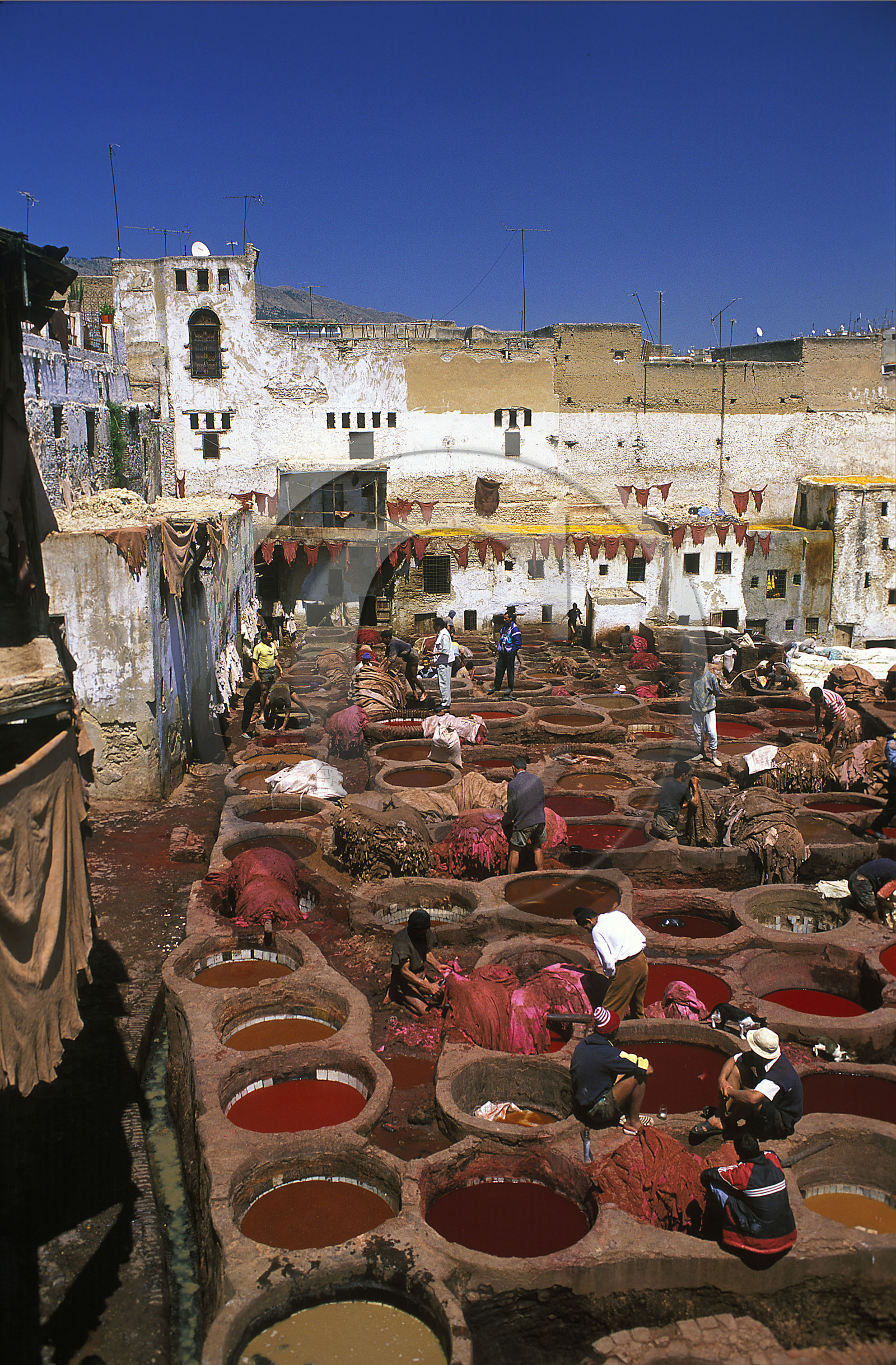 MAROC   FES.SOUK DES TANNEURS