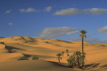 Dunes d' Oubarit, Libye