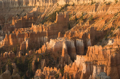 USA, BRYCE CANYON