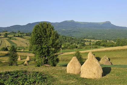 Roumanie, Maramures
