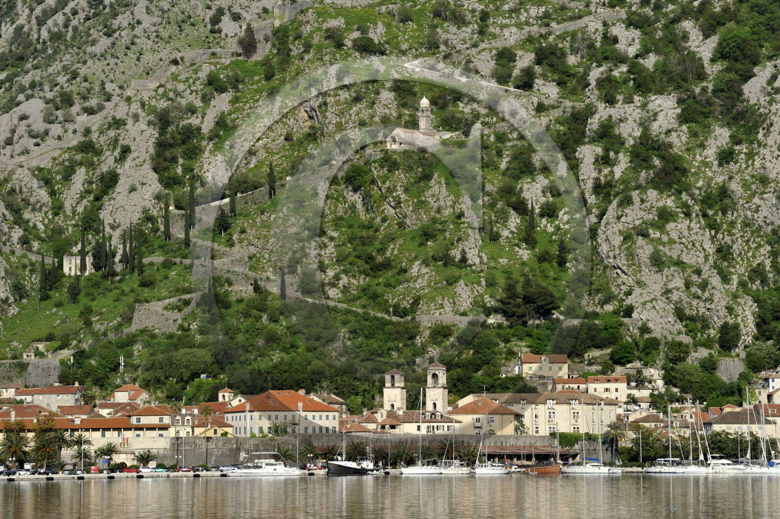 Montenero, Kotor