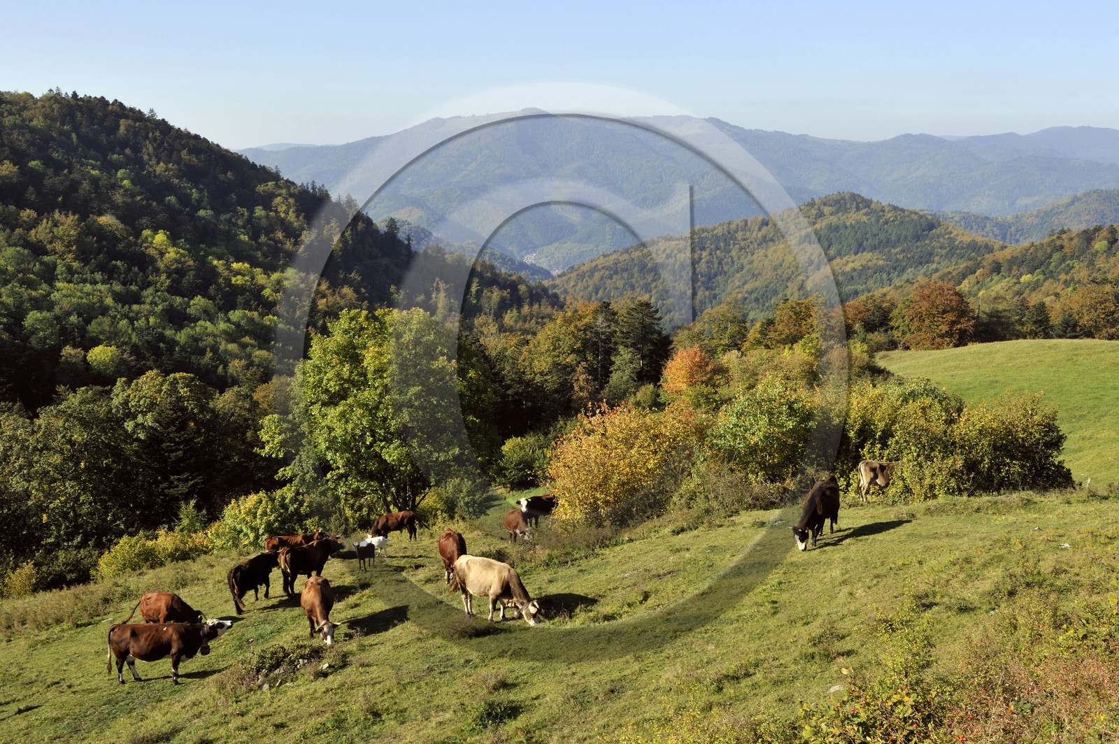 France, Grand Ballon