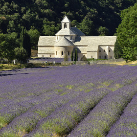 France, Senanque