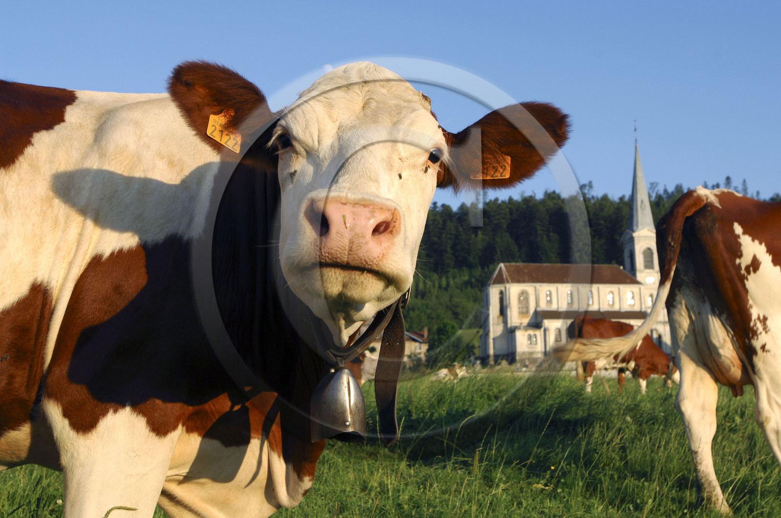 Franche-Comte, France