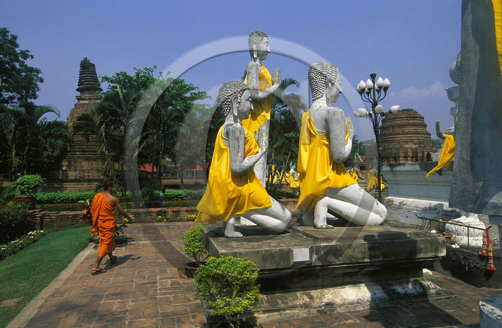 ©René MATTES THAILANDE