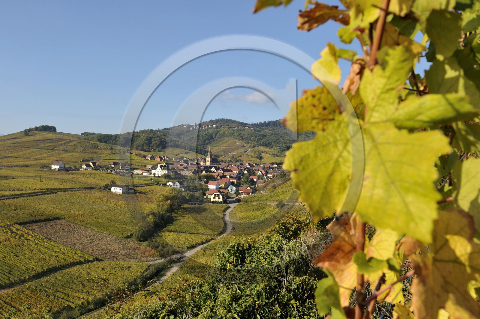 France, Niedermorschwihr