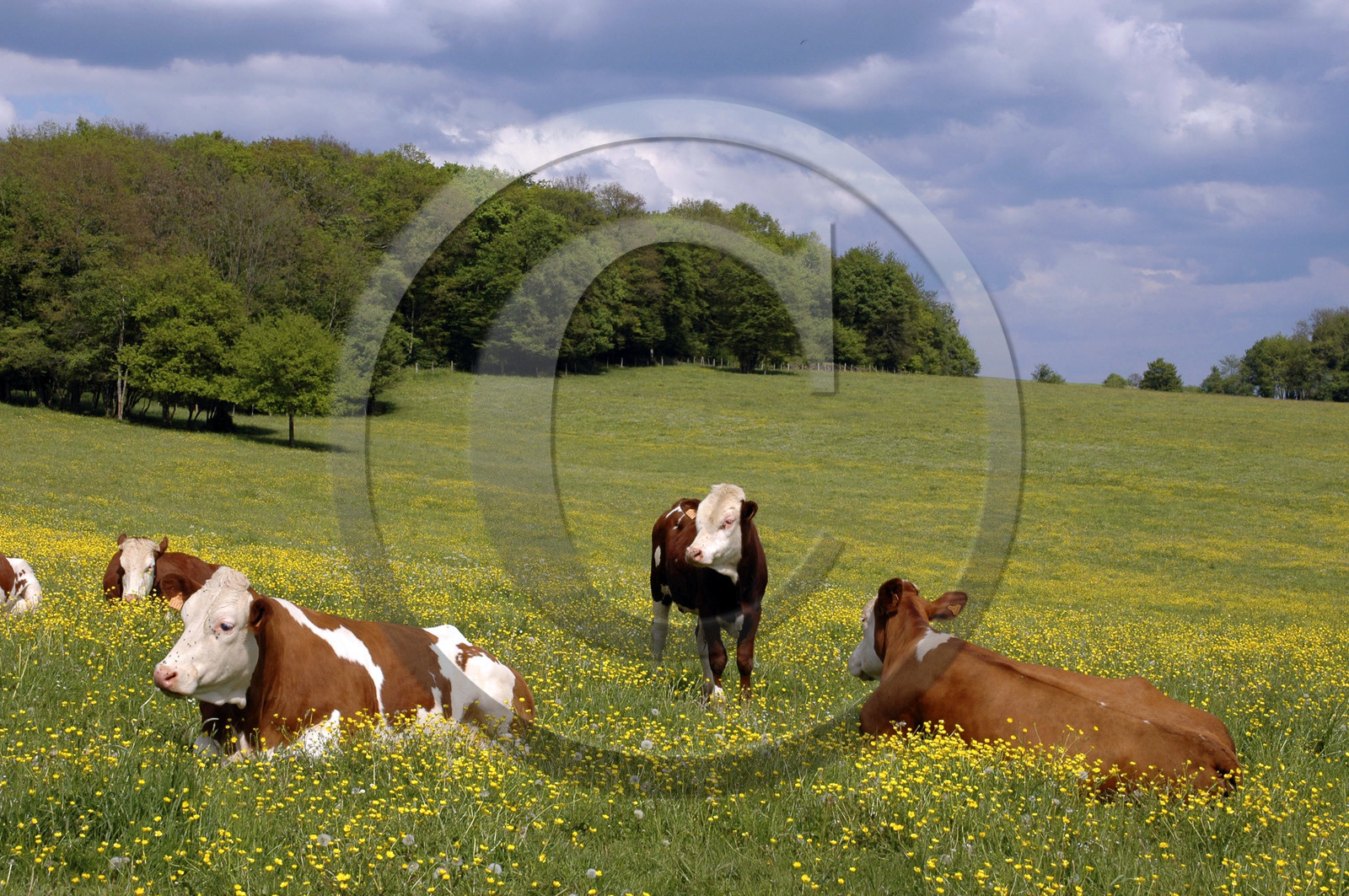 Franche-Comte, France