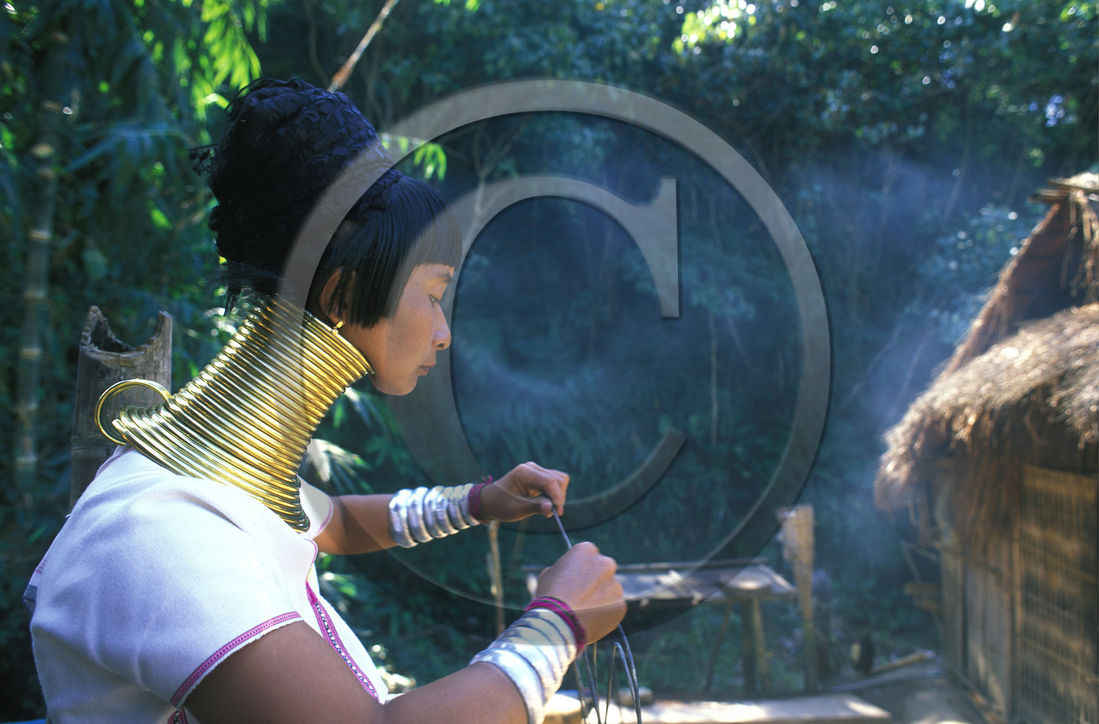 THAILANDE   VILLAGE DU NORD