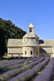 France, Senanque