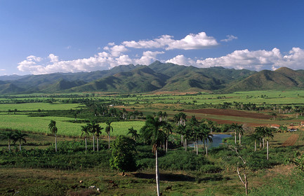 VALLÉE DE LOS INGENIOS.CUBA