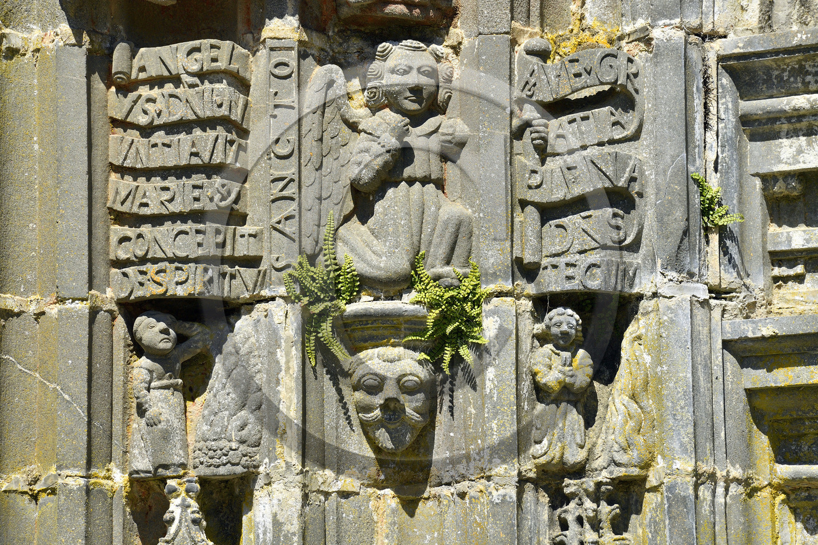 France, Roche Maurice