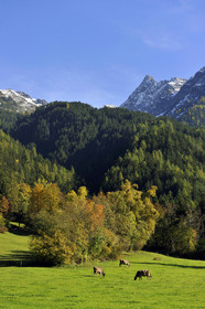 Autriche, Tyrol