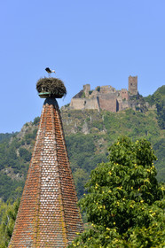 France,  Ribeauville