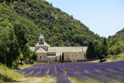 France, Senanque