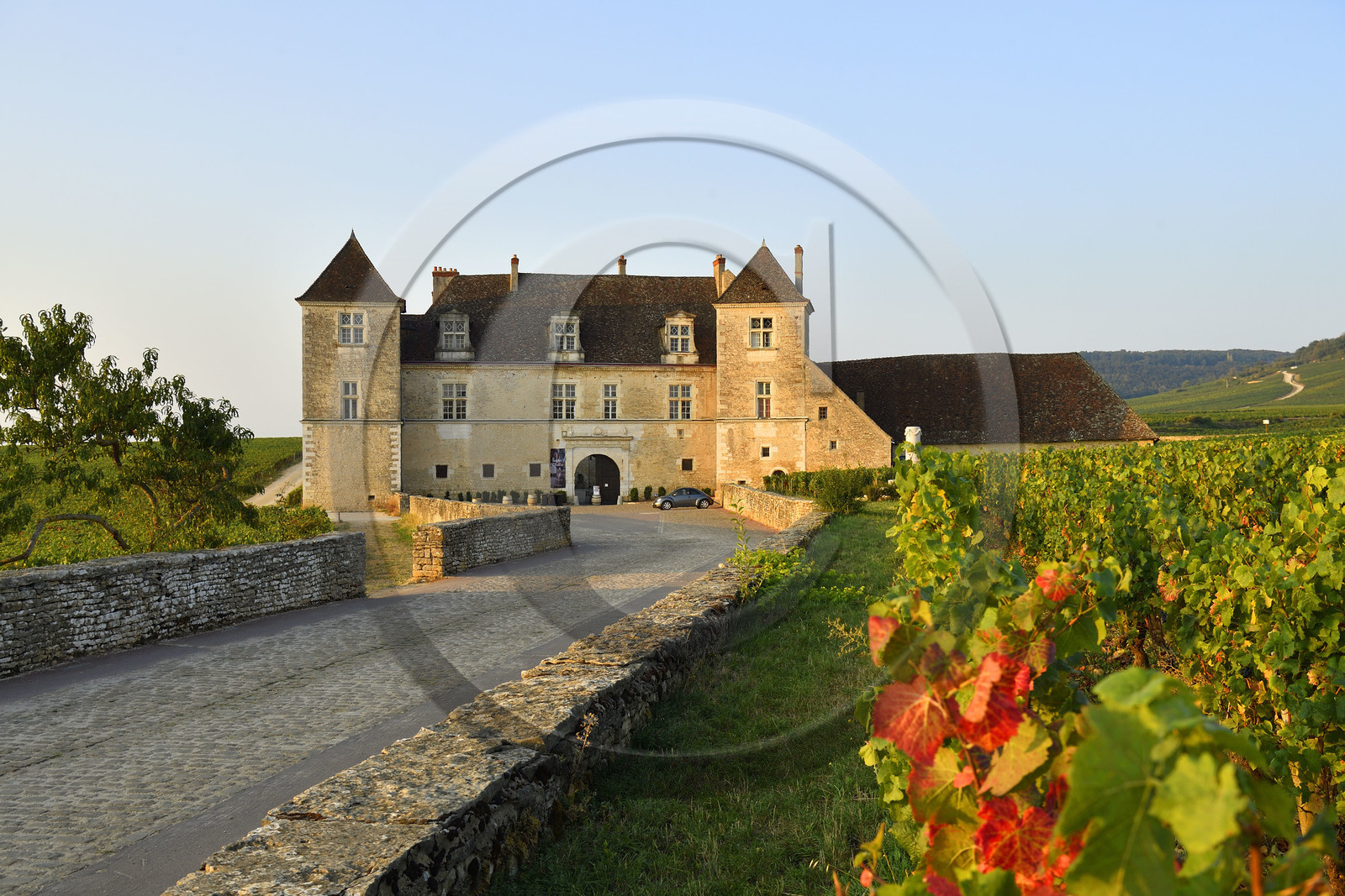 France, Vougeot