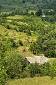 Roumanie, Maramures