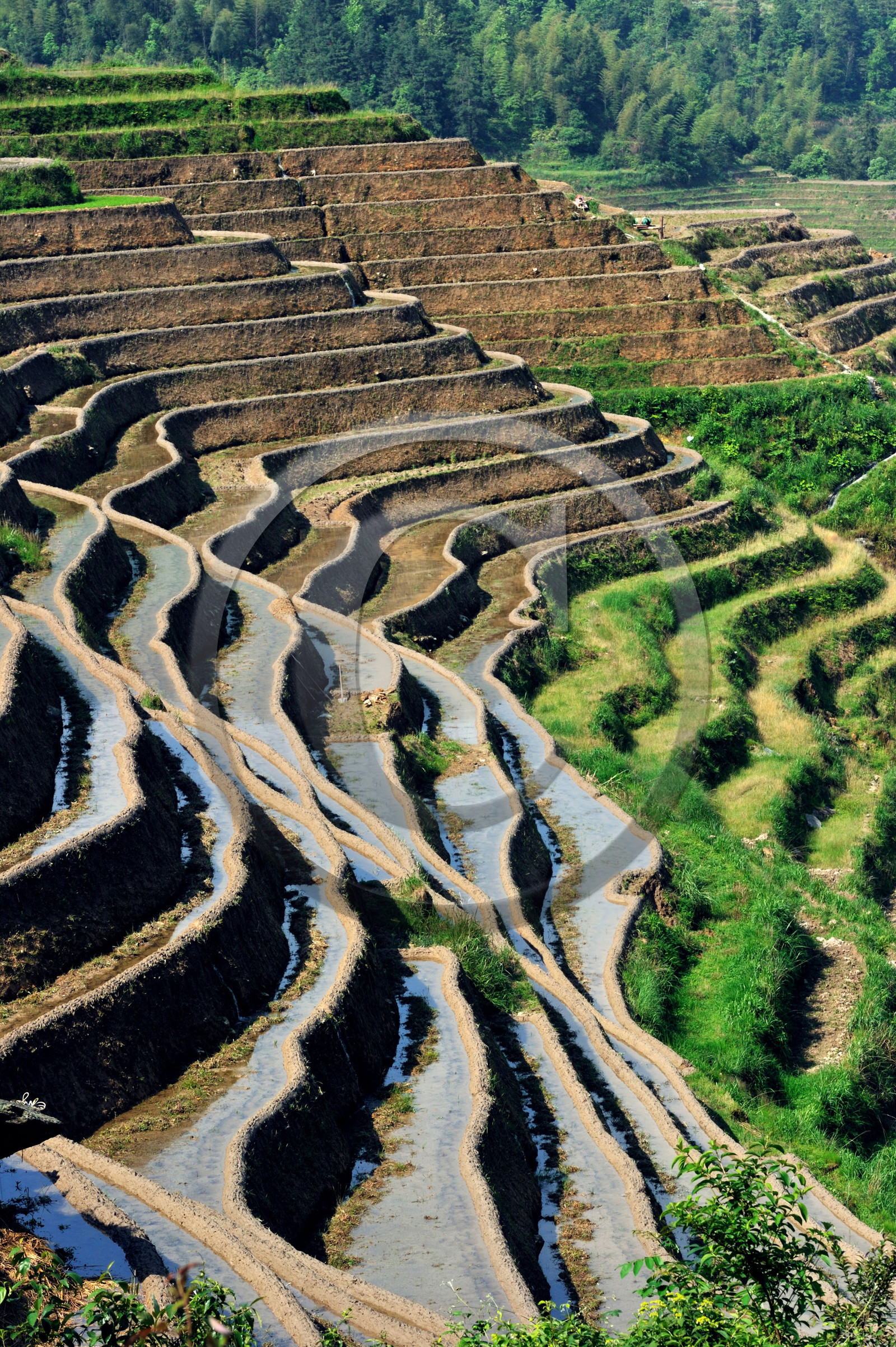 Chine, Longsheng