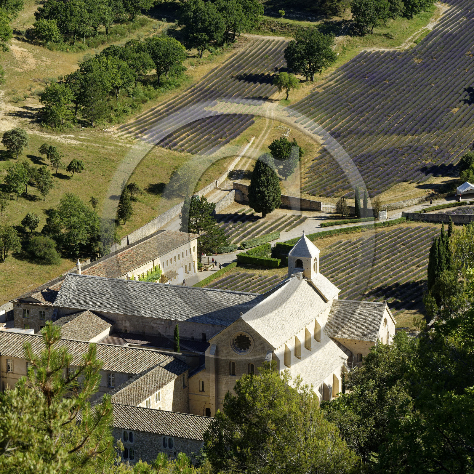 France, Senanque