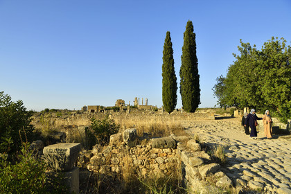Maroc, Volubilis