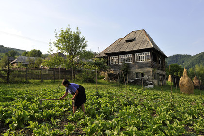 Roumanie, Maramures