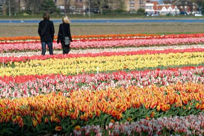 Hollande, Keukenhof