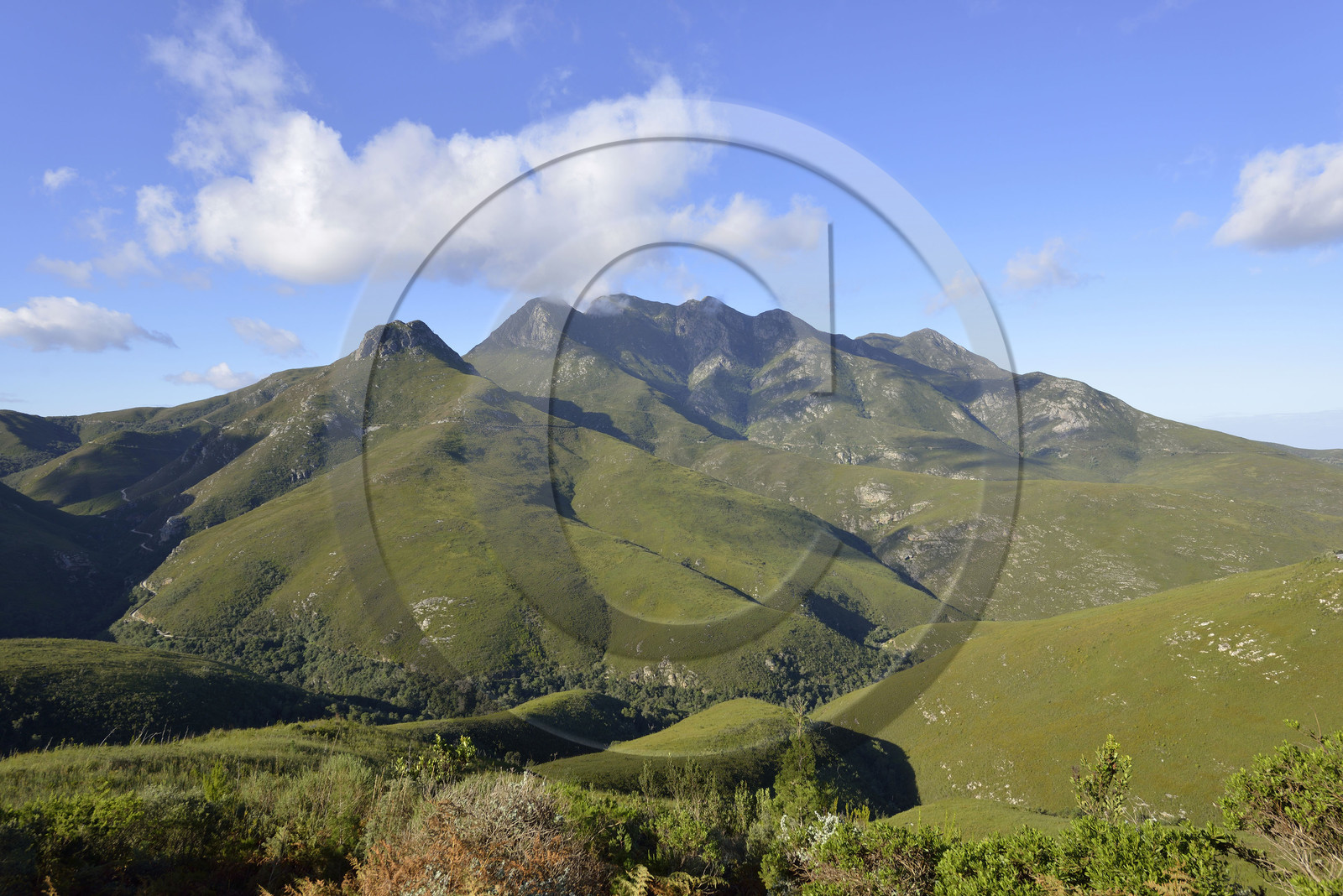 AFS, Outeniqua