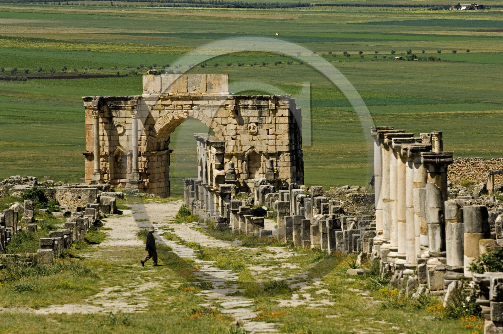 Volubilis, Morokko