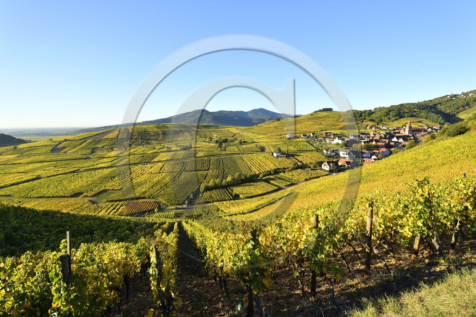 France, Niedermorschwihr