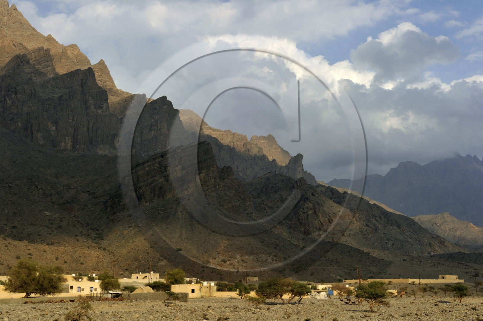 Oman, Nakhl