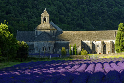 France, Senanque