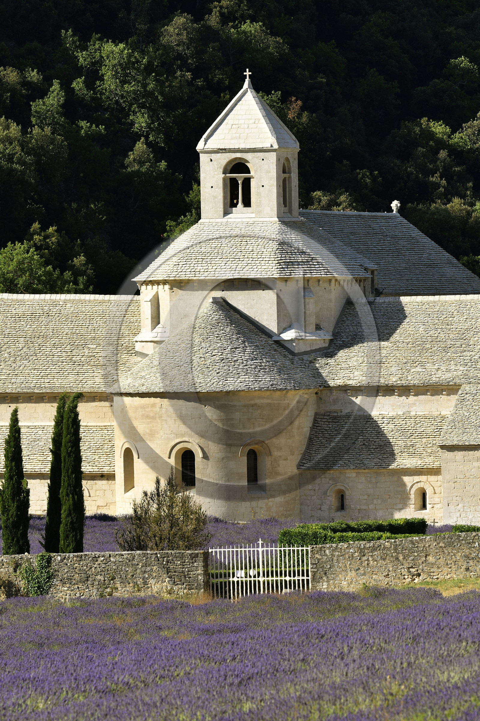 France, Senanque