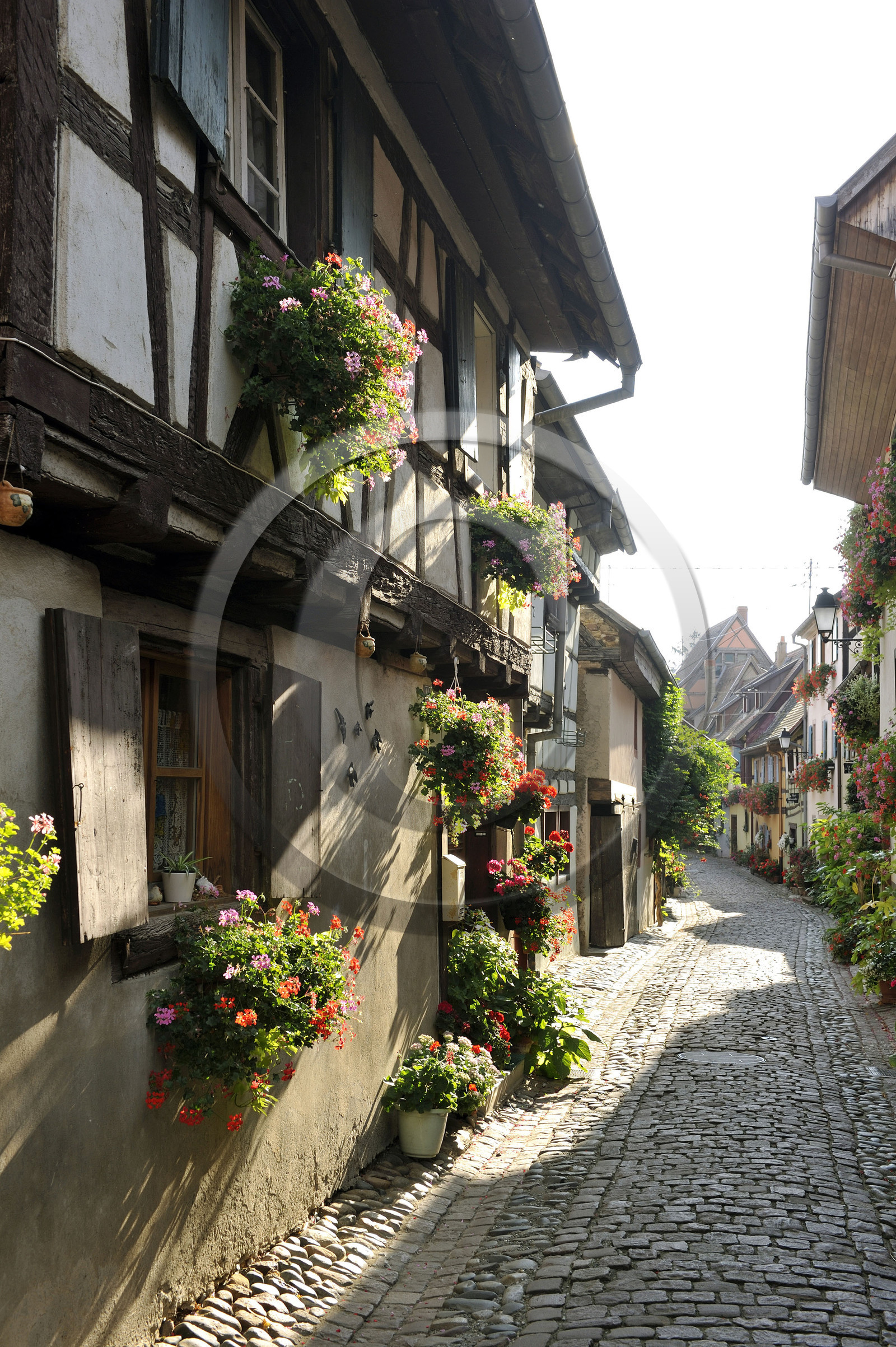France, Eguisheim