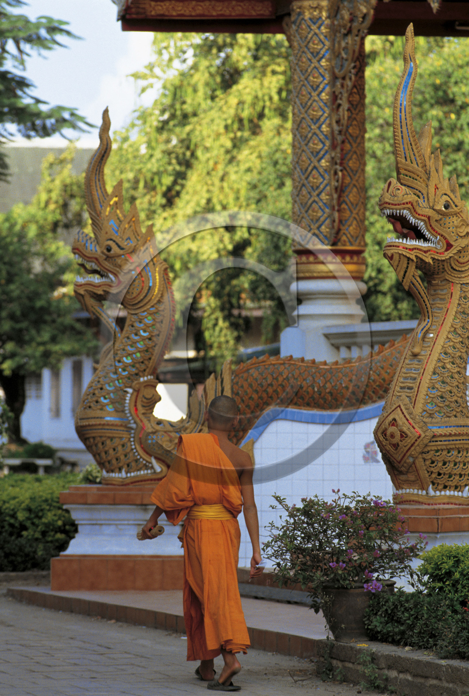 THAILAN DE CHANG MAI