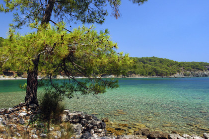 Phaselis, the coast