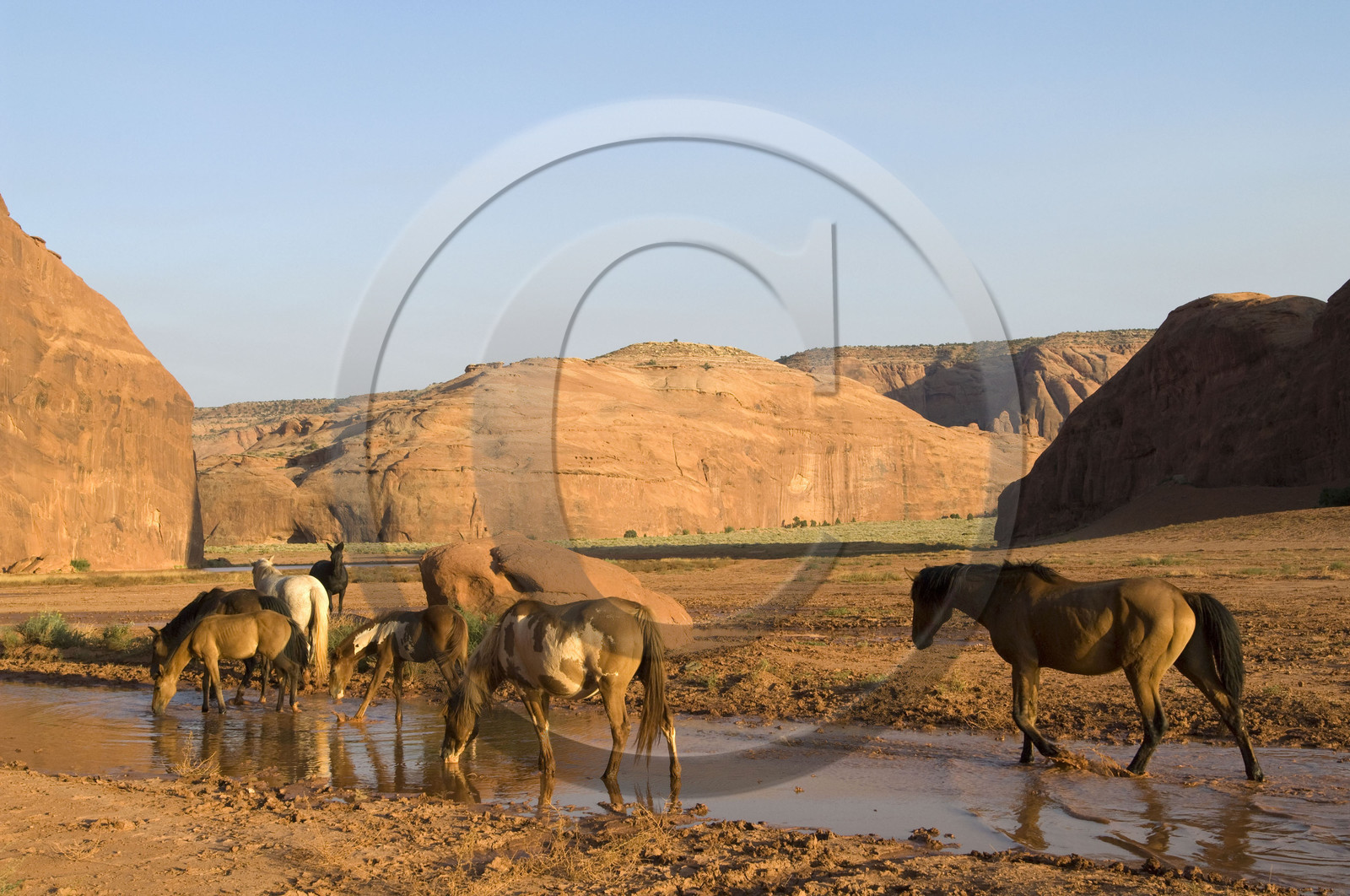 USA, MONUMENT VALLEY