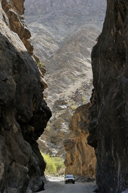 Oman, Rustaq