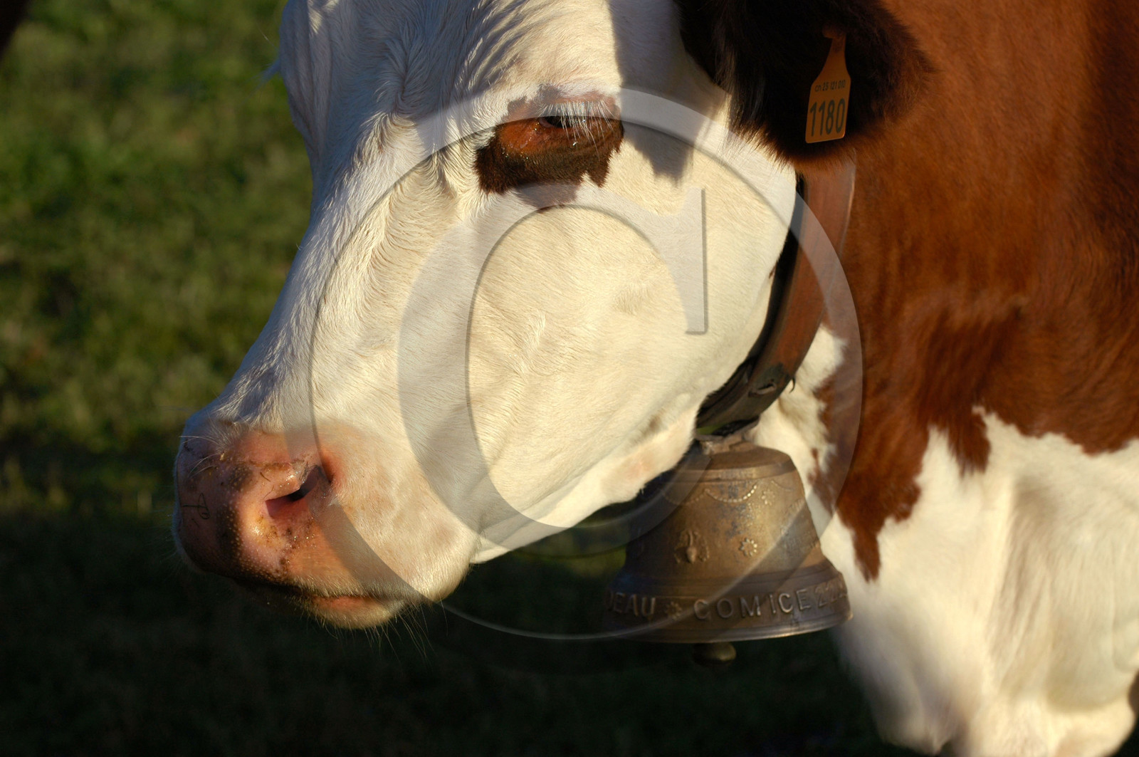 Franche-Comte, France