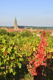 France, Dambach la Ville