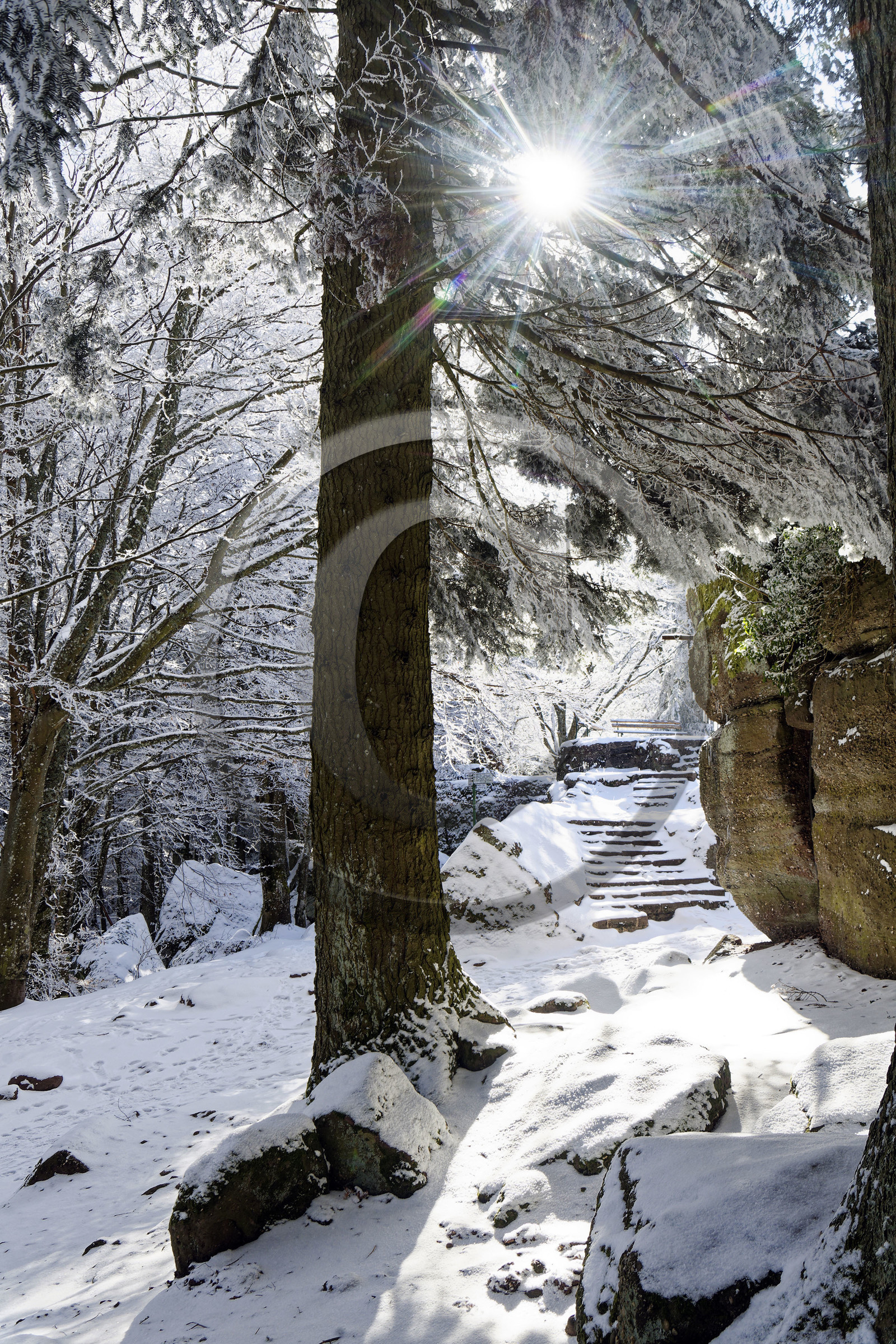 France, Sainte Odile