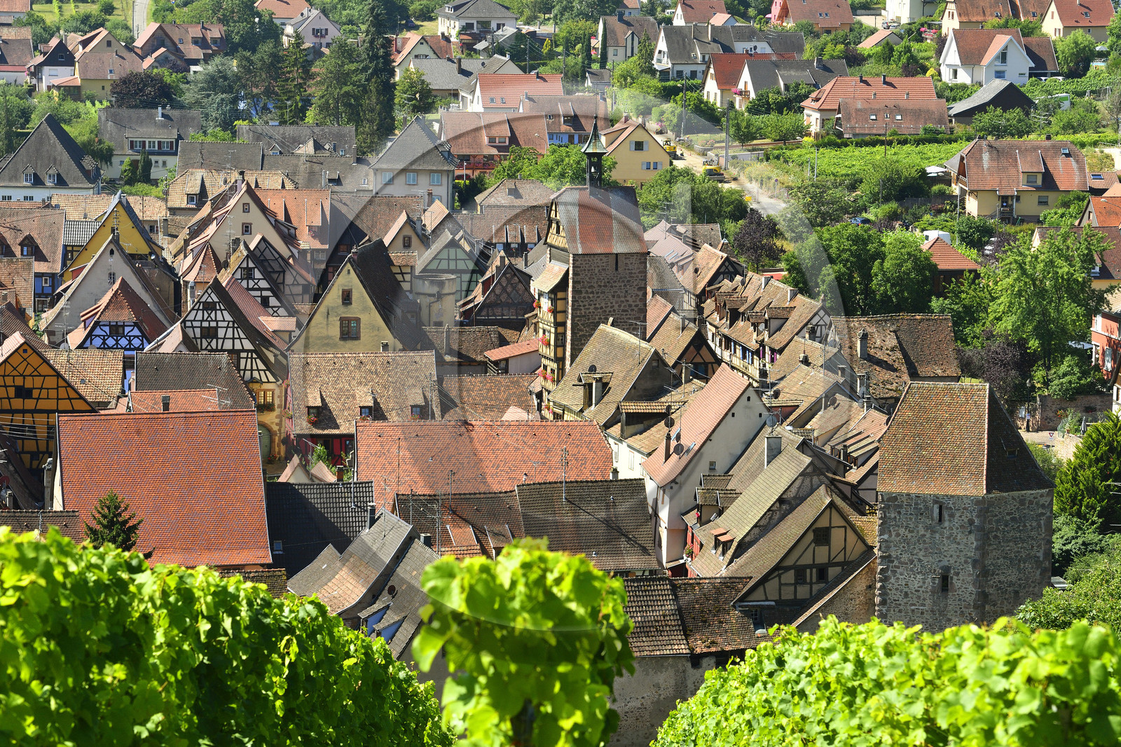 France,  Riquewihr