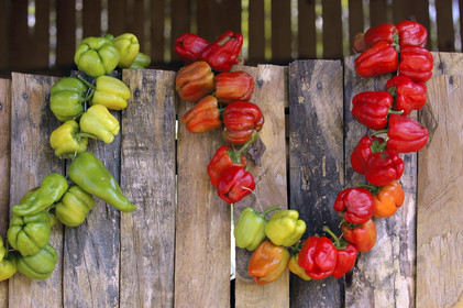 Wreath of chilis, Turkey